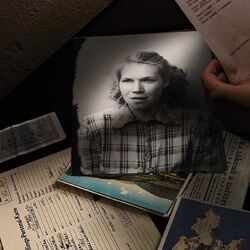 Odkryté příběhy 20. století